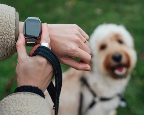 The Truth Concerning Fitness Trackers? Daily Existence Improves Without a Bossy Gadget on Your Wristwear